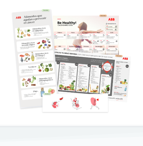 Conjunto de piezas de comunicación interna para ABB